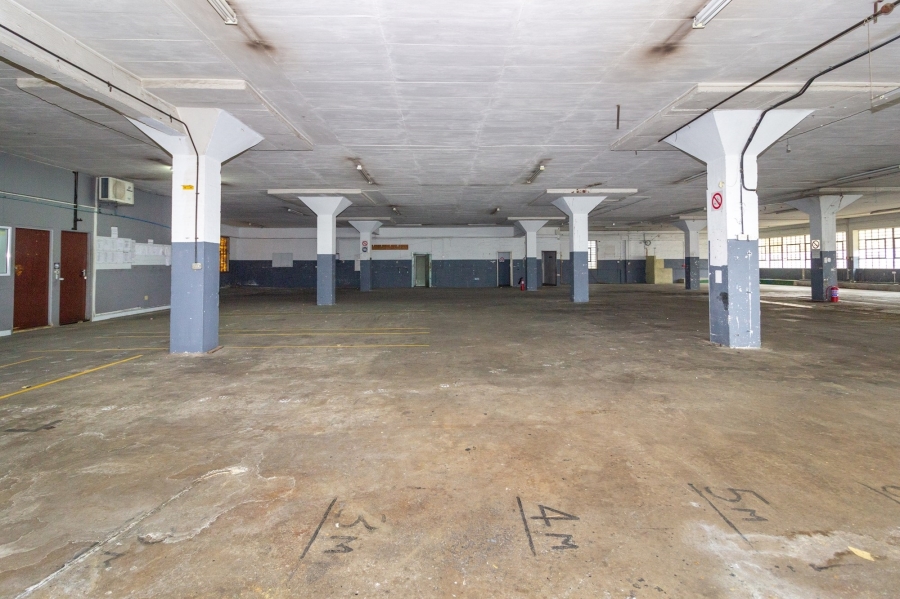 To Let commercial Property for Rent in Korsten Eastern Cape